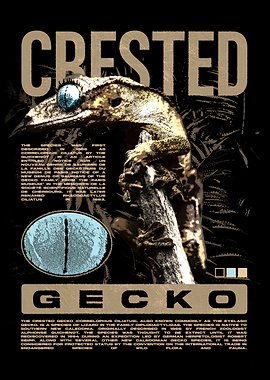 Crested Gecko Reptile Keeper