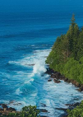 Ocean Waves Crashing on Rocky Shore