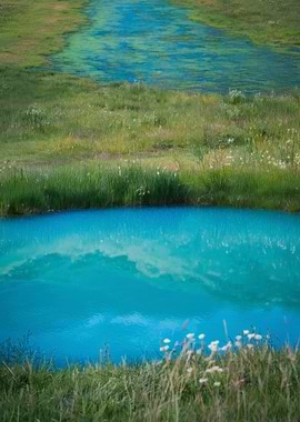 Turquoise Water and Green Meadow