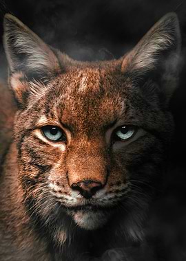 Lynx Portrait with Intense Gaze