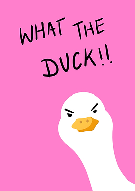What The Duck Cartoon Pink Background