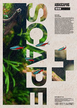 Aquascaping Aquarium Poster
