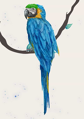 Watercolor Macaw on Branch