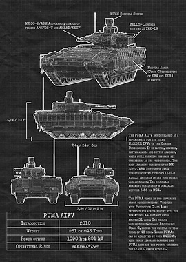 PUMA AIFV Factsheet