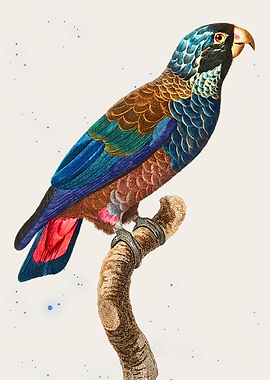 Colorful Parrot on Branch Illustration