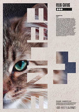 Cat Abstract Modern Minimalist Poster