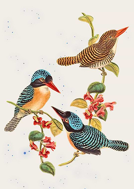 Vintage Bird Illustration with Red Flowers