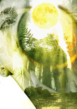 Into the luminous within