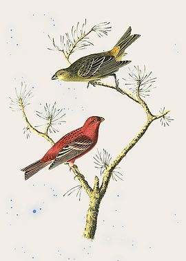 Two Birds on a Branch Illustration