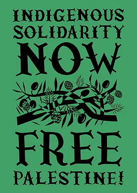 Indigenous Solidarity Now Free Palestine