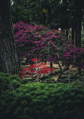Vibrant Garden Scene with Red Tree