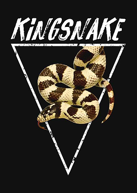 California Kingsnake Snake Owner