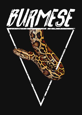 Burmese Python Snake Enthusiast