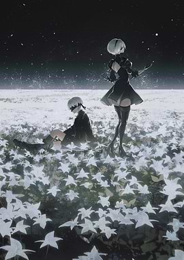 Nier Automata: 2B and 9S in field