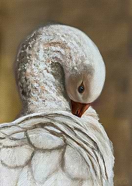 Goose Preening Original Painting