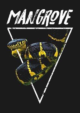 Mangrove Snake Snake Owner