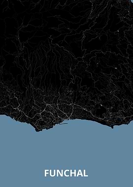 Funchal Map - Topographic Detail
