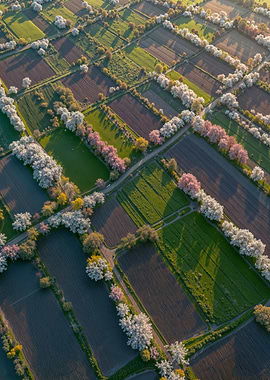 Aerial View of Farmland in Spring