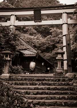 Vintage Sepia Torii in the Kyoto Forest