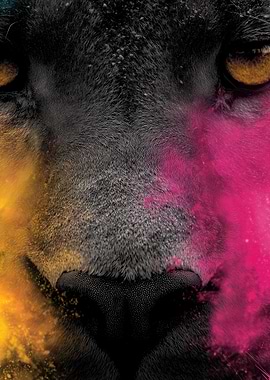 Lion face with colorful powder explosion