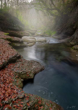 Misty River Through Forest Landscape