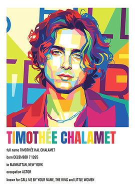 Timothée Chalamet Pop Art Portrait