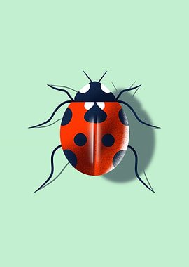 Cute Ladybug Illustration