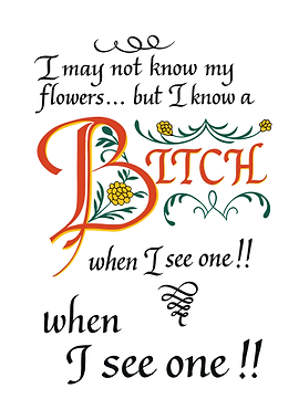 I Know a Bitch Typography Art