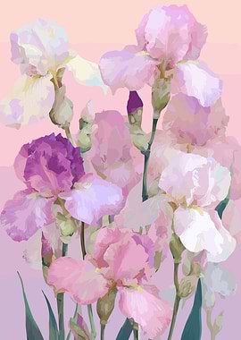 Pink and Purple Iris Floral Art