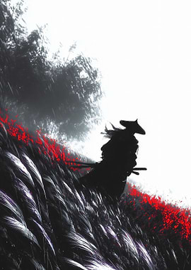 Silhouette of a Samurai in Tall Grass