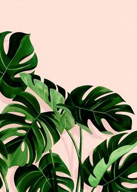 Monstera Leaves on Pink Background