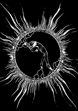 Figure in a Solar Eclipse
