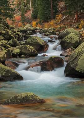 Mountain Stream with Mossy Rocks