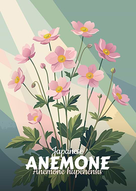 Japanese Anemone Illustration