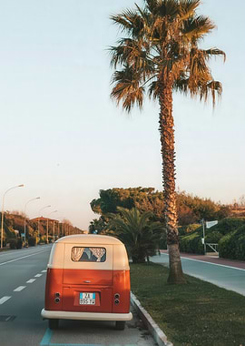 Vintage Van by Palm Tree