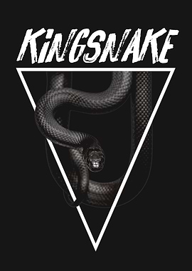 Mexican Black Kingsnake Reptile Keeper