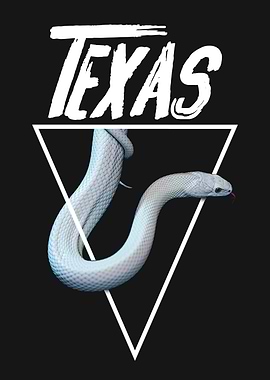 Texas Rat Snake Reptile Keeper
