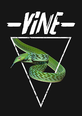 Green Vine Snake Reptile Owner