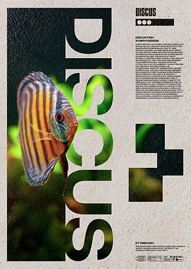 Discus Fish Aquarium Enthusiast