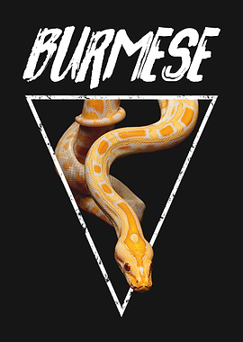 Burmese Python Reptile Keeper