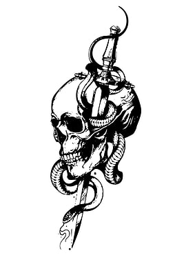 Skull, Snake, and Sword Illustration