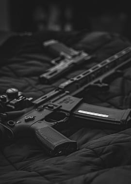 Black and White Gun Display