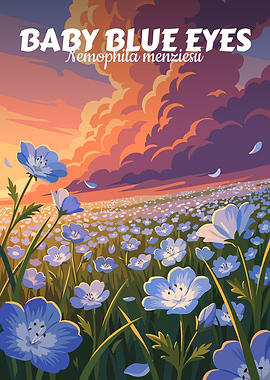 Baby Blue Eyes Flower Field Illustration