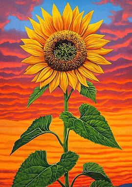 Sunflower Painting Sunset Background