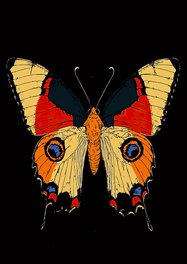 Colorful Butterfly Illustration on Black Background