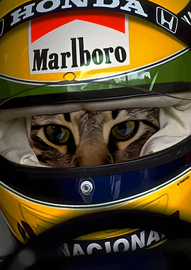 Cat in Racing Helmet