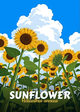 Sunflower Field Illustration