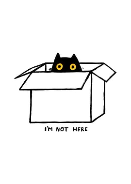 Black Cat in Box - I'm Not Here