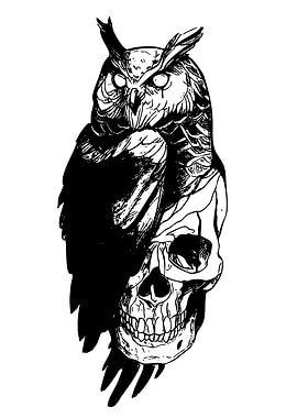 Owl and Skull Black and White