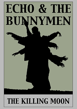 Echo & The Bunnymen Album Art